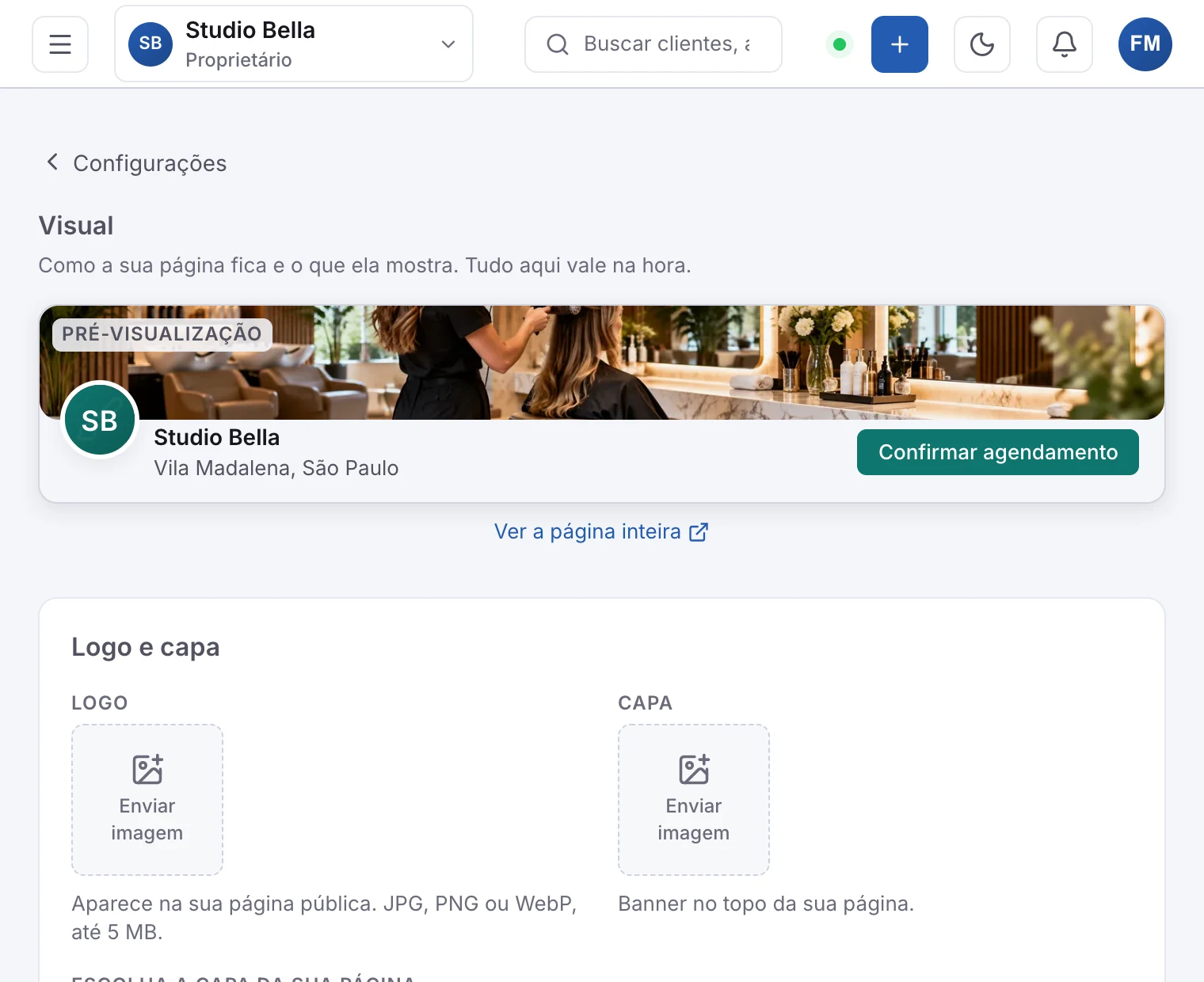 O painel Visual, com a logo, a capa e a prévia da página