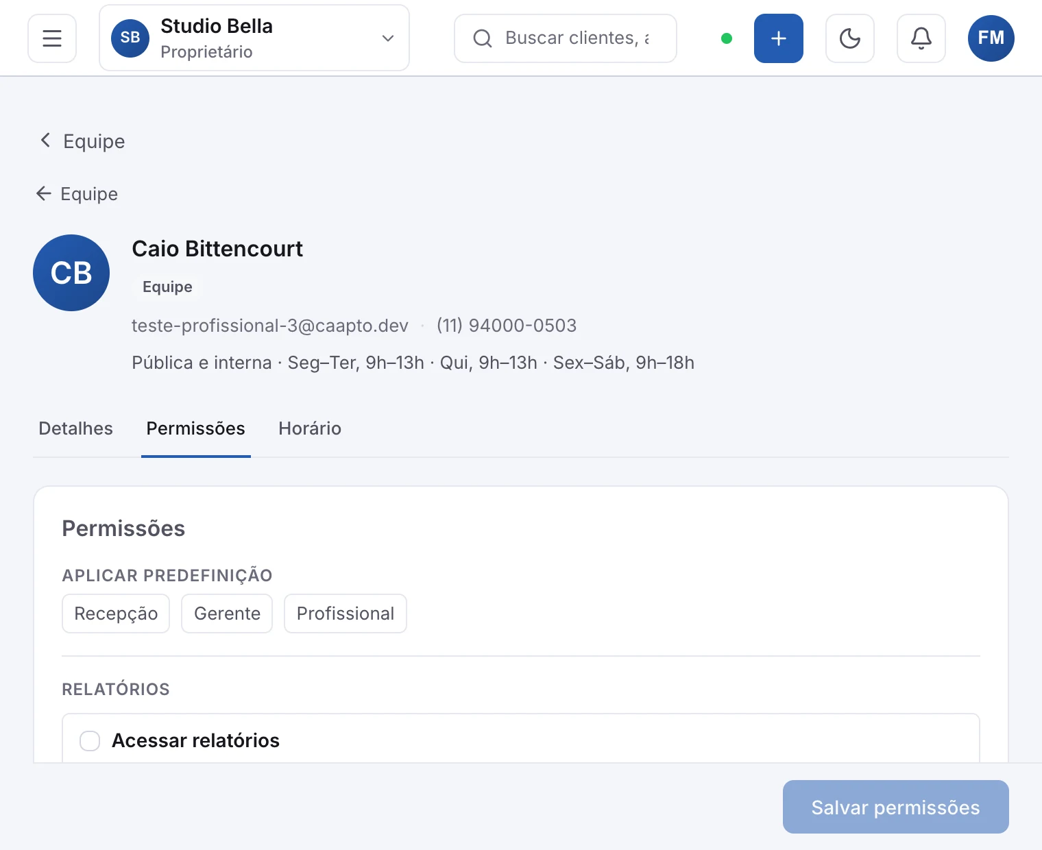A aba Permissões de um membro da equipe